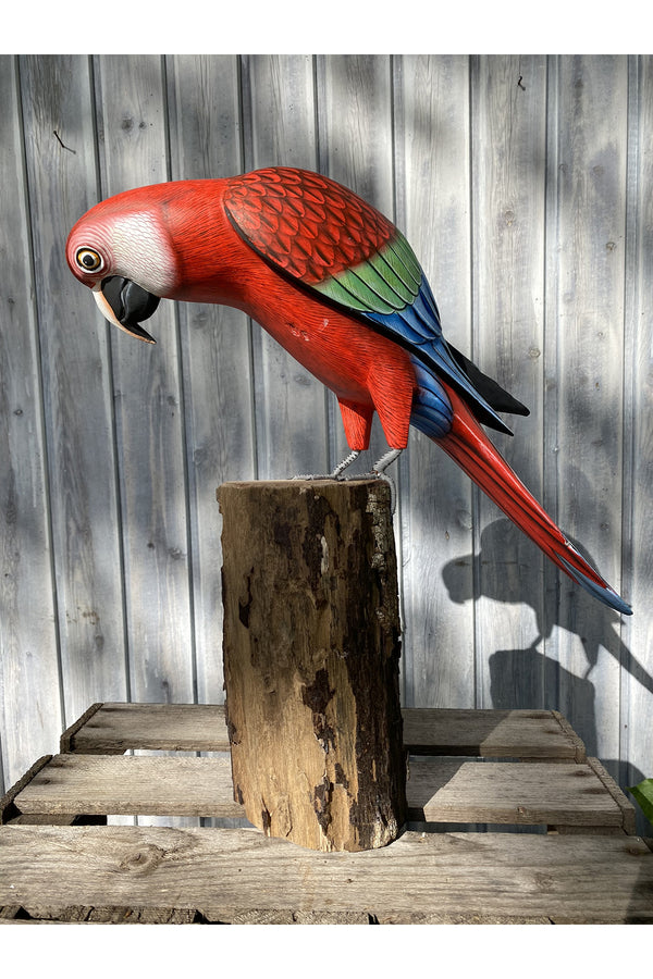Papagei rot handgeschnitzt aus Albesiaholz